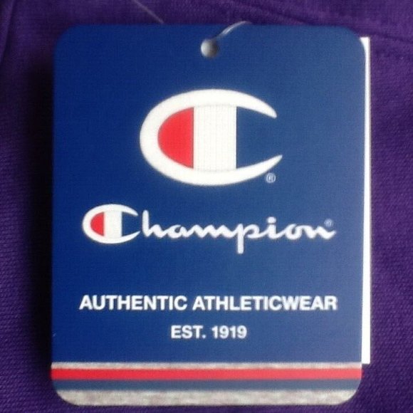 warm NEW Sz SMALL Champion Girls 7-16 Raglan Graphic Hoodie Sweatshirt in PURPLE - Picture 3 of 5
